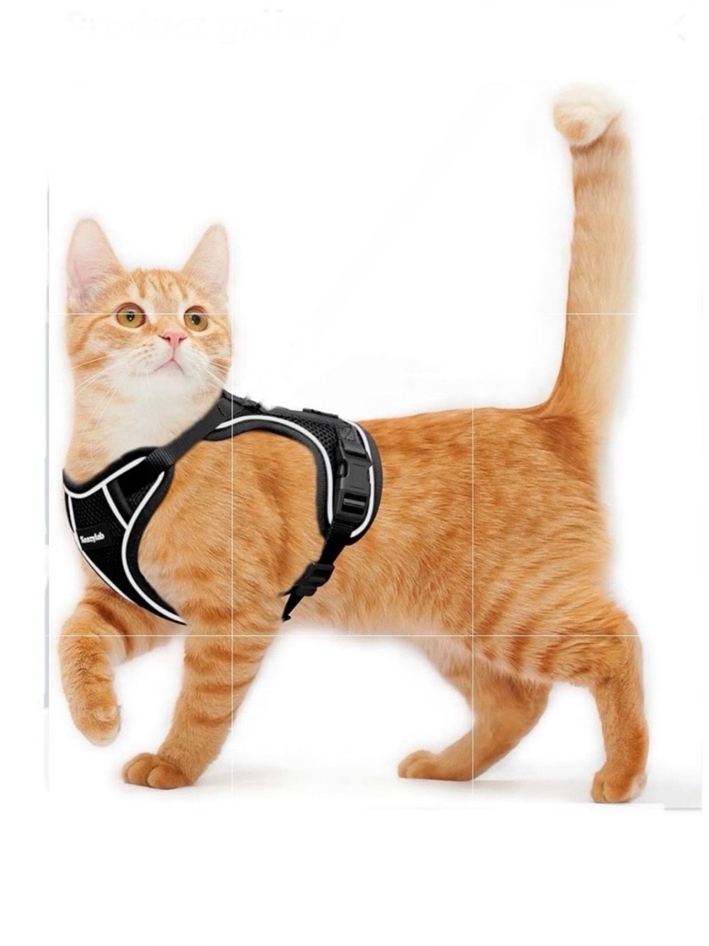 Cat Harness for Walking Breathable Comfortable Vest Easy to Wear Kitten Harness